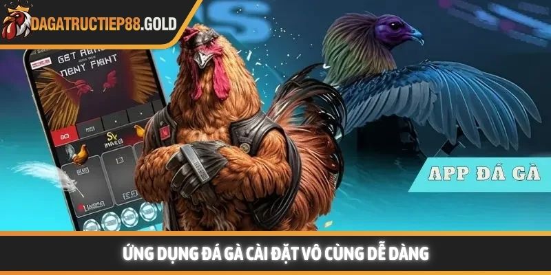 Ứng dụng đá gà cài đặt vô cùng dễ dàng