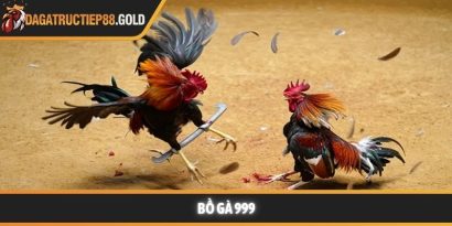 Bồ gà 999 và những giá trị giải trí vượt trội cho hội viên