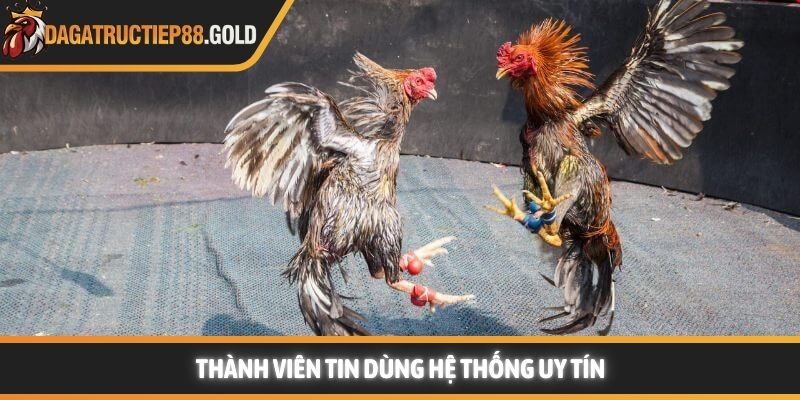 Thành viên tin dùng hệ thống uy tín