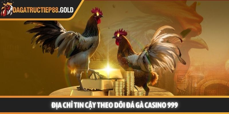Địa chỉ tin cậy theo dõi đá gà casino 999
