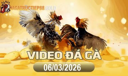 img video da ga cpc4 1772842152