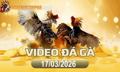img video da ga cpc4 1773792013