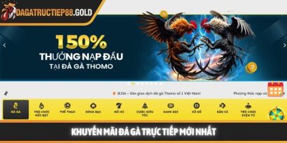 Khuyến mãi đá gà và cơ hội gia tăng lợi ích cho thành viên