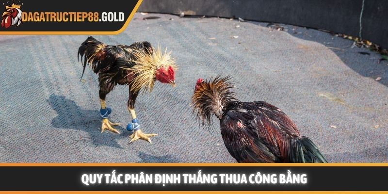 Quy tắc phân định thắng thua vô cùng công bằng