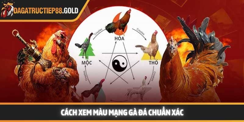 Cách xem màu mạng gà đá chuẩn xác