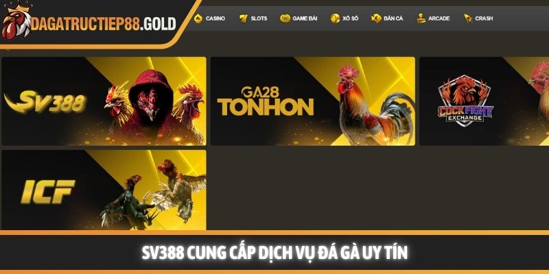 SV388 cung cấp dịch vụ đá gà uy tín