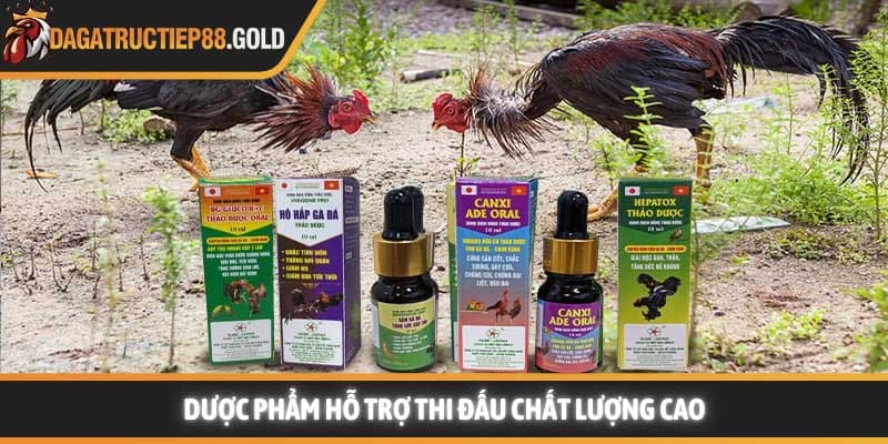 Dược phẩm hỗ trợ thi đấu chất lượng cao