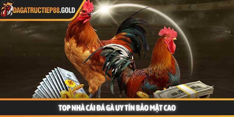 Top nhà cái đá gà uy tín bảo mật cao