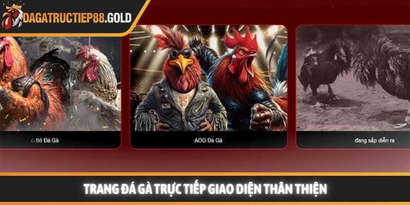 Trang Đá Gà Trực Tiếp giao diện thân thiện