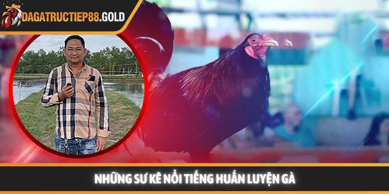 Những Sư kê nổi tiếng huấn luyện gà
