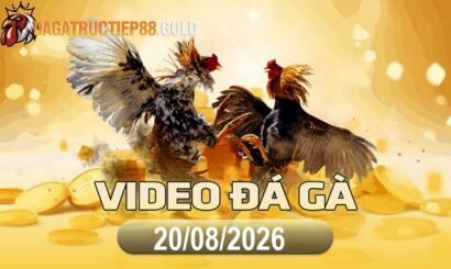 img video da ga cpc4 1787270420